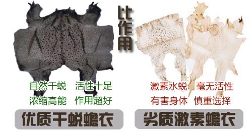 如何選擇好蟾衣？您踩坑了嗎？